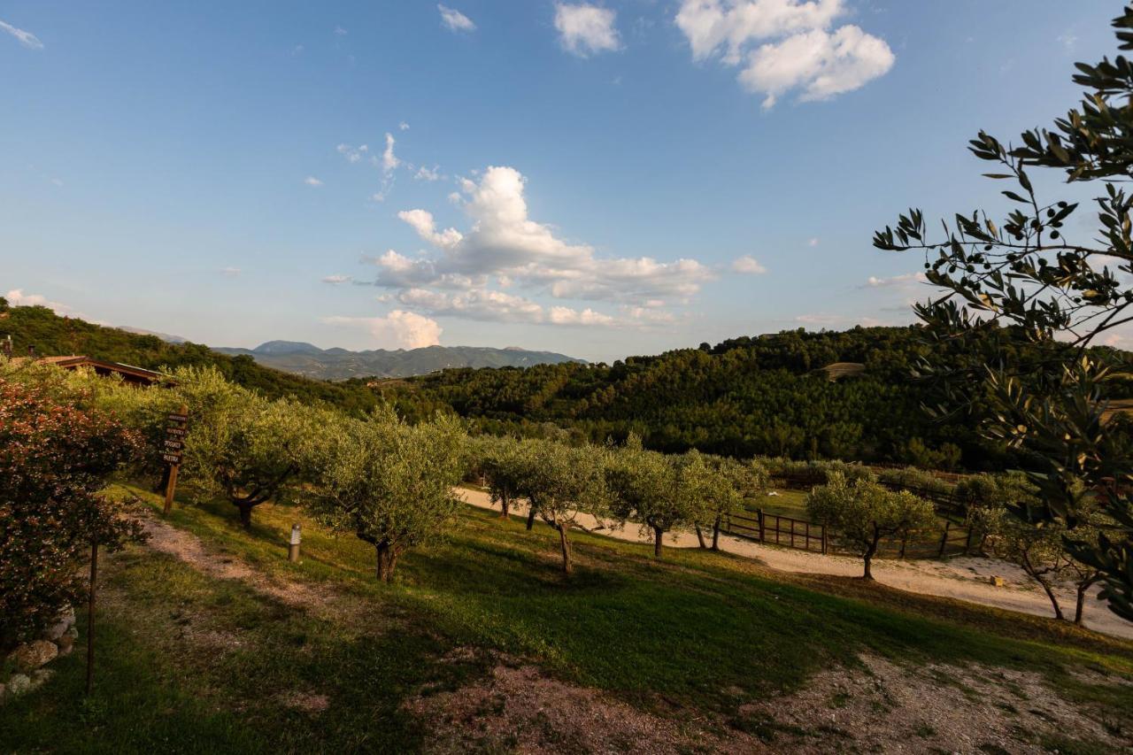 Agriturismo Agrileisuretime スポレート エクステリア 写真
