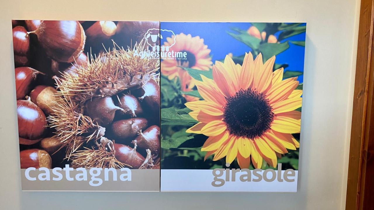 Agriturismo Agrileisuretime スポレート エクステリア 写真
