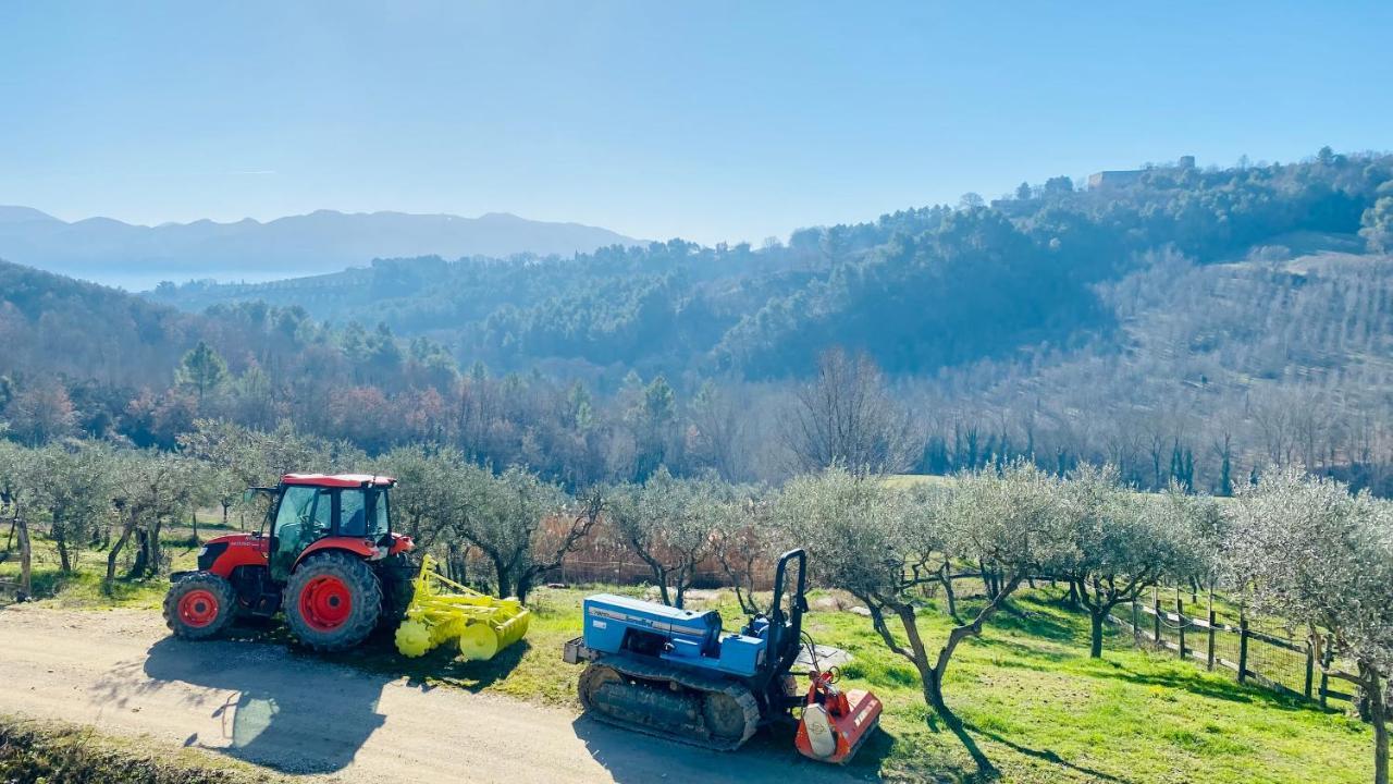 Agriturismo Agrileisuretime スポレート エクステリア 写真