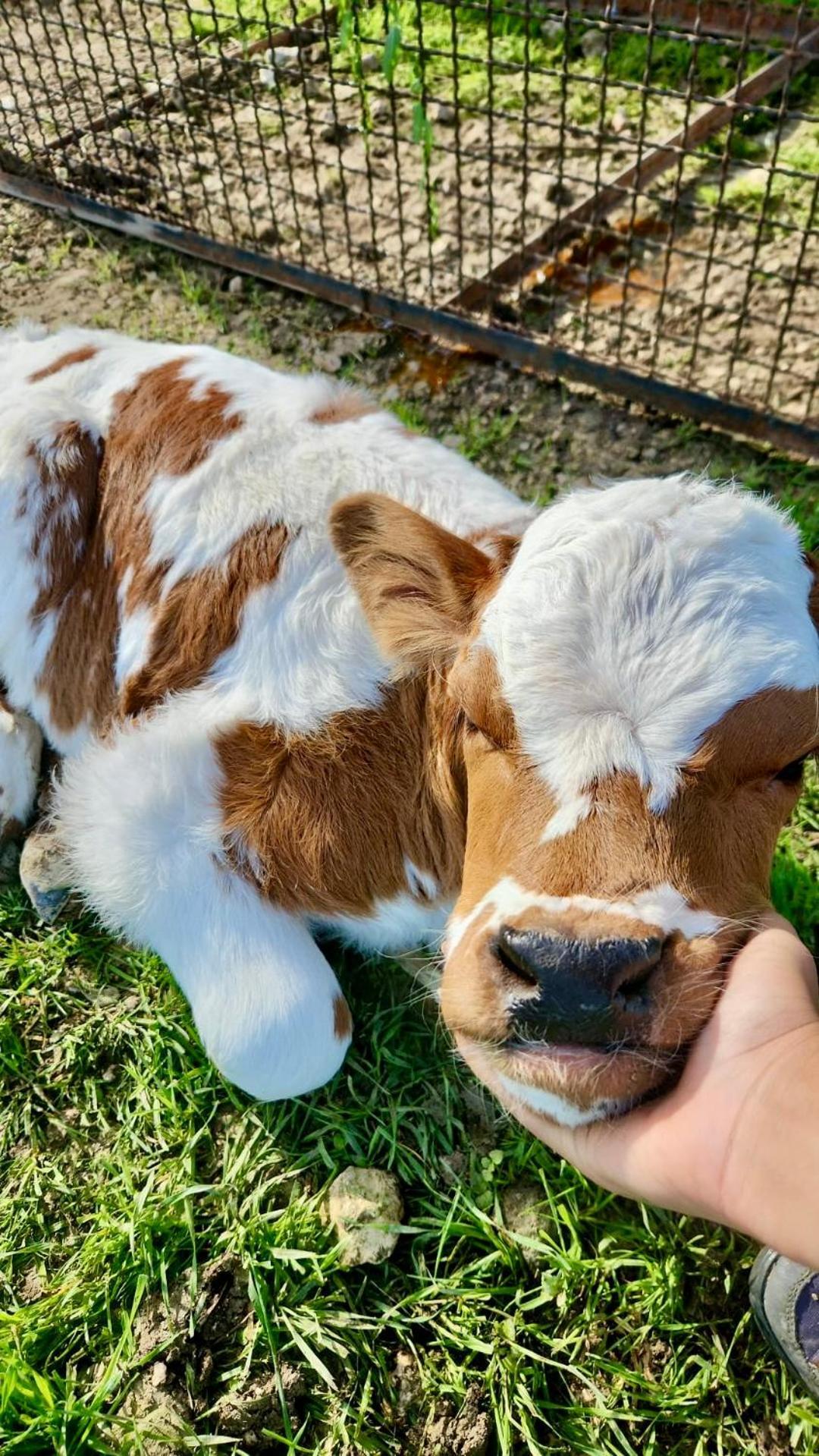 Agriturismo Agrileisuretime スポレート エクステリア 写真